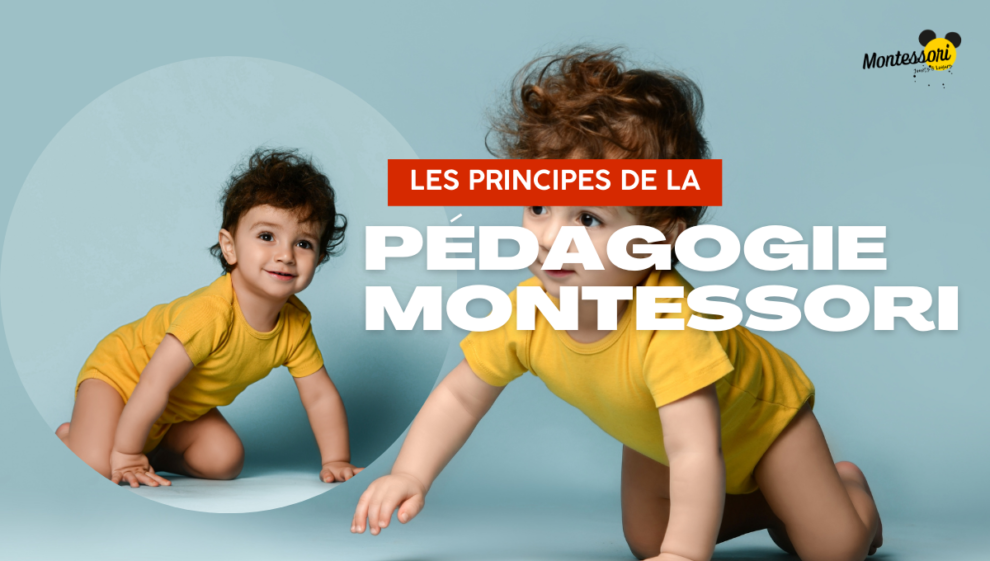 Les Principes De La Pédagogie Montessori