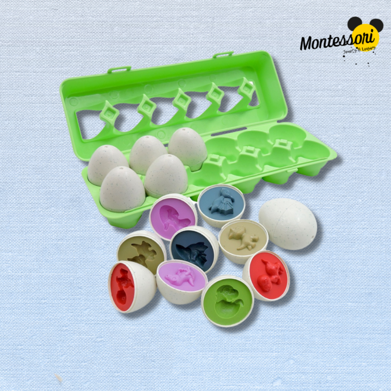 Jeu Montessori - œufs à emballer