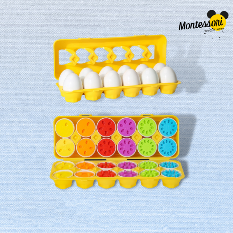 Jeu Montessori - œufs à emballer